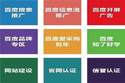 SEM运营公司经典案例点评